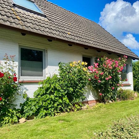 Ferienhaus Sutje Loose Ngoại thất bức ảnh
